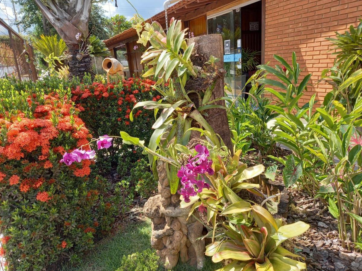 Hotel Agua Quente 5*